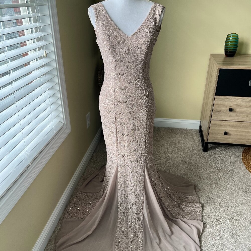 Elegant Lace Tan Mermaid Formal Beige Tan Evening Gown
